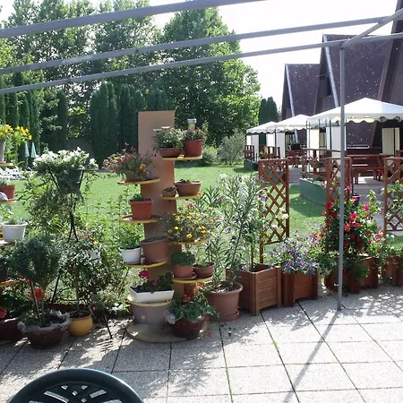 Abádszalóki Vitorlás * Abádszalók