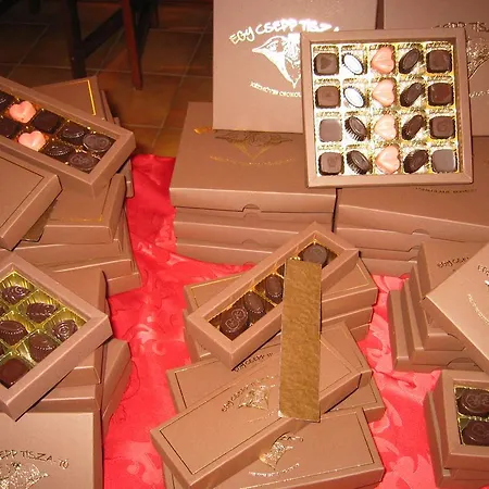 Pensión Abádszalóki Vitorlás *